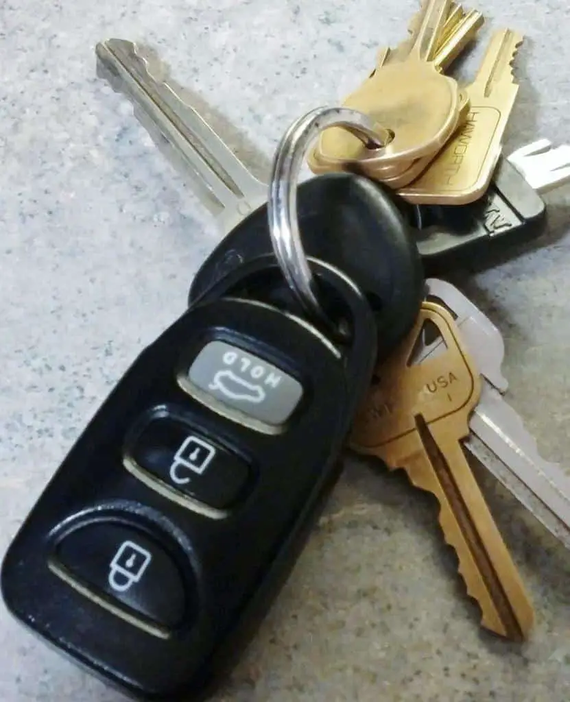 7 speed reading license key txt